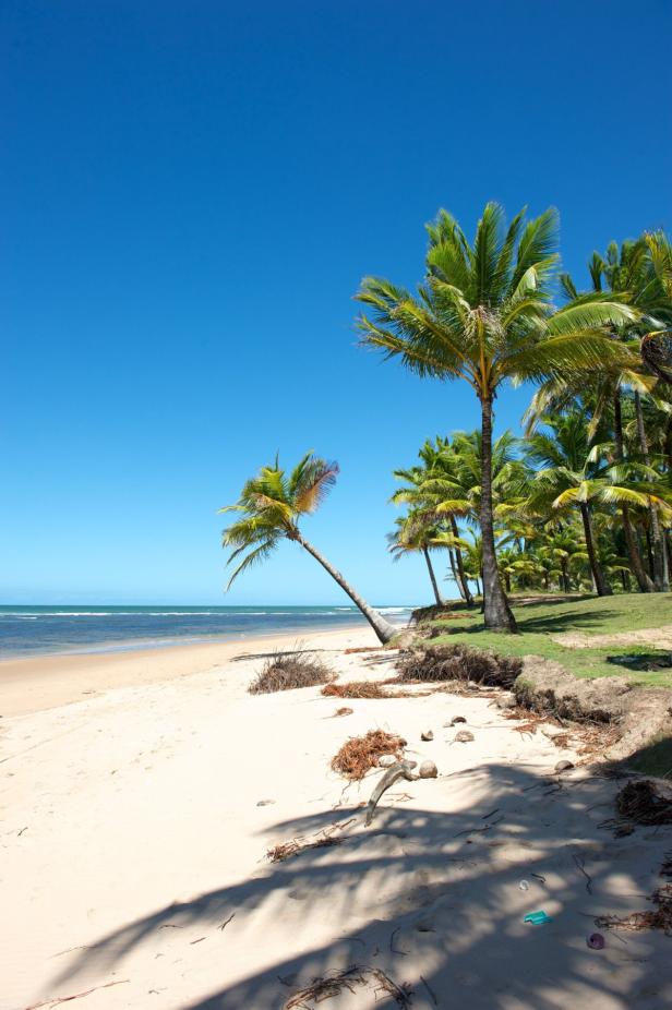 Ein tropischer Strand mit Palmen unter einem strahlend blauen Himmel.