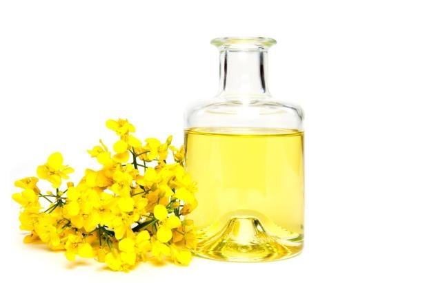 Alles im Öl: Das beste Sonnenblumen- und Rapsöl im Test