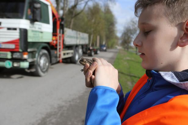 Nationalpark Donau-Auen: Froschklauben statt Unterricht
