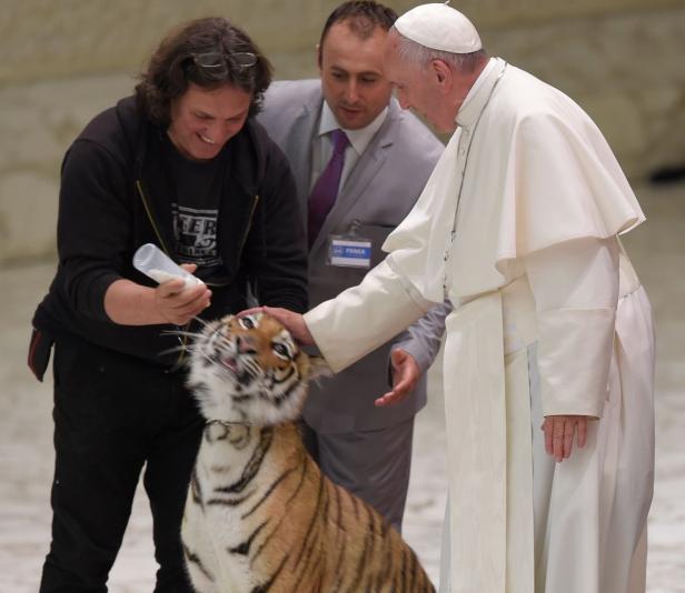 Tiger bekam Angst vor dem Papst