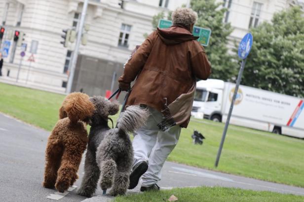 Aktion scharf gegen Hunde ohne Beißkorb und Leine