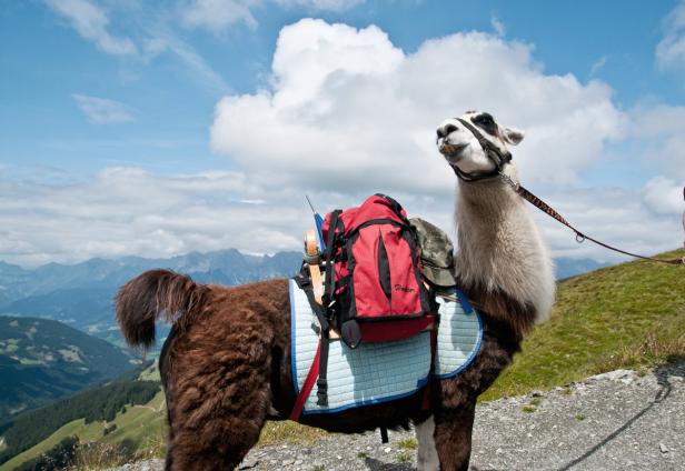 Cooler Fitnessurlaub speziell für Frauen