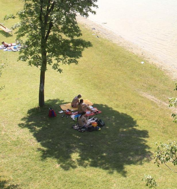 Mehrere Personen entspannen sich im Schatten eines Baumes auf einer Wiese am See.
