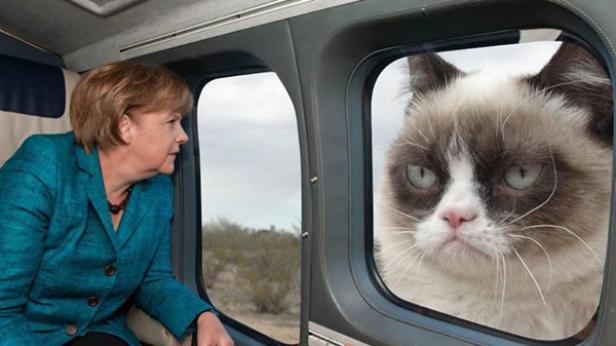 Angela Merkel schaut aus einem Zugfenster, während eine mürrische Katze aus einem anderen Fenster schaut.