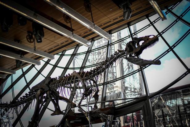 Dino auf Eiffelturm: Skelett für zwei Millionen Euro versteigert