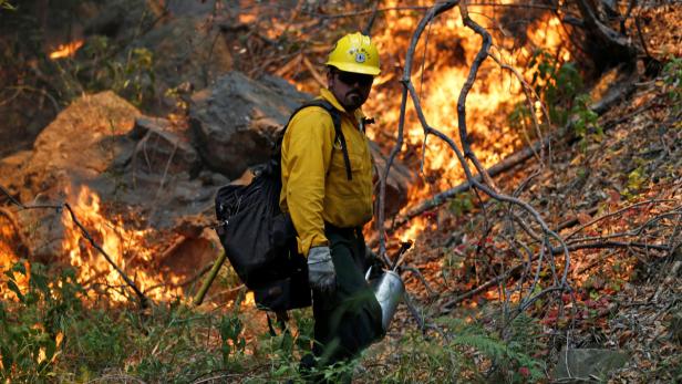 Waldbrand in Kalifornien außer Kontrolle