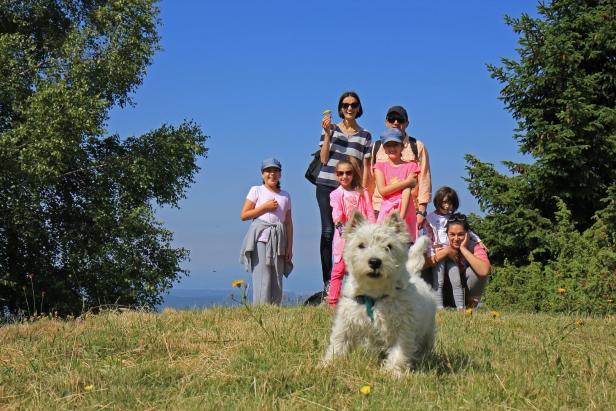 Luxuriöse Hundehotels: Wellness für Hund und Herrl