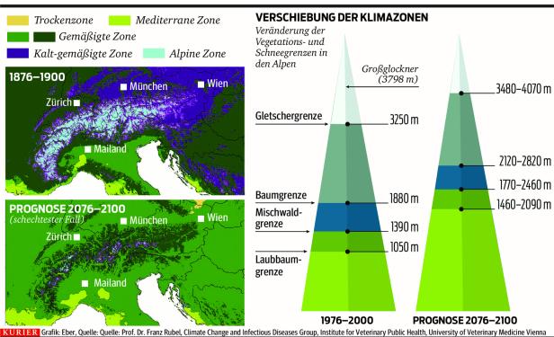 Erderwärmung: Wien unter Palmen, Weinbau in Tirol