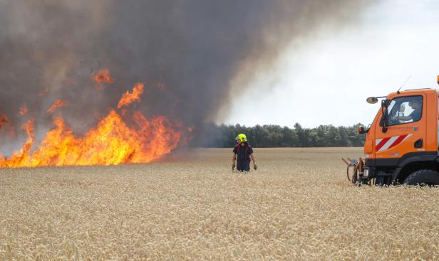 Bezirk Mödling: 20 Hektar Getreidefeld standen in Brand