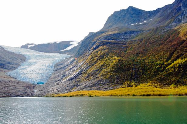 Aus dem Gletscher: Die teuersten Eiswürfel der Welt