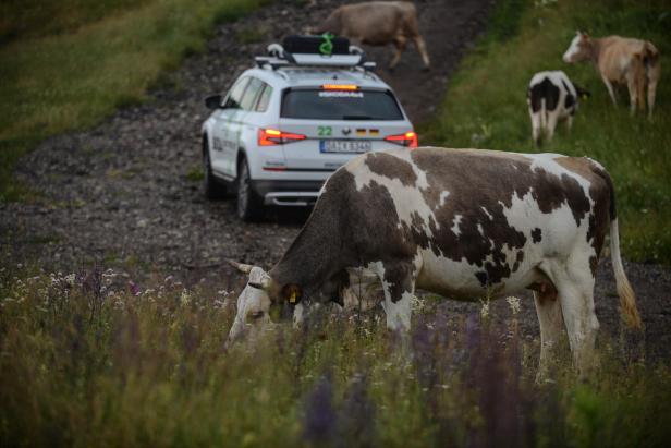 Mit dem Skoda Kodiaq über Stock und Stein am Balkan