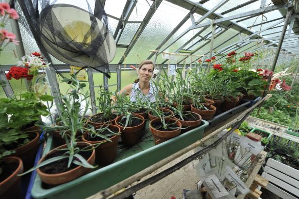 Südburgenland: Gartenkurse für Selbstversorger