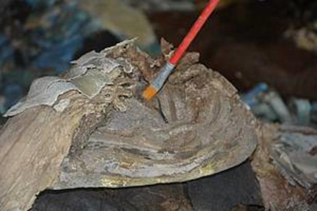 Ägyptologen entdecken vergoldete Mumienmaske