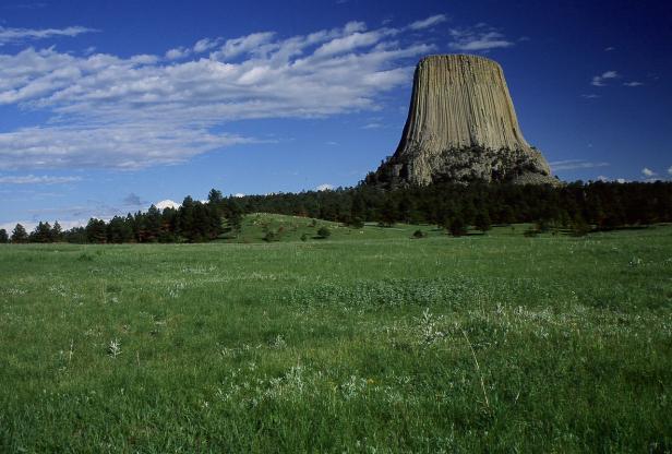 Der Devils Tower National Monument ragt über eine grüne Wiese auf.