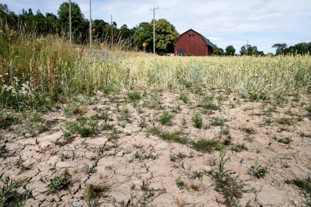SWEDEN-WEATHER-DROUGHT