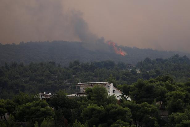 Waldbrände: Wie Experten Gefahr für Österreich einschätzen