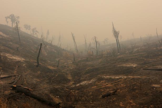 Waldbrände in Kalifornien: Weiterer Feuerwehrmann getötet