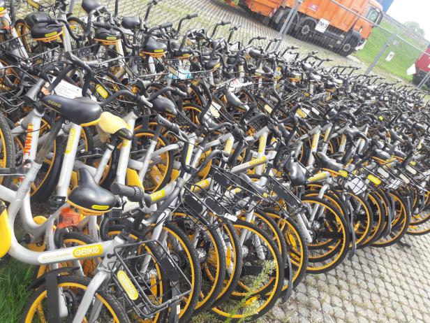 oBike und Ofo: Schon mehr als 500 Leihrräder entfernt