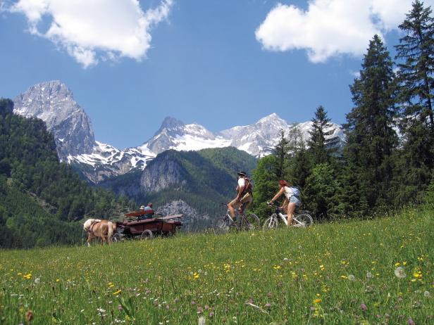 Ländliche Moderne: Es lebe das Dorf!