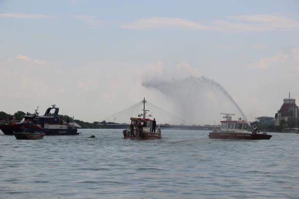 "Mayday, Herr Bürgermeister": Einsatzübung auf der Donau