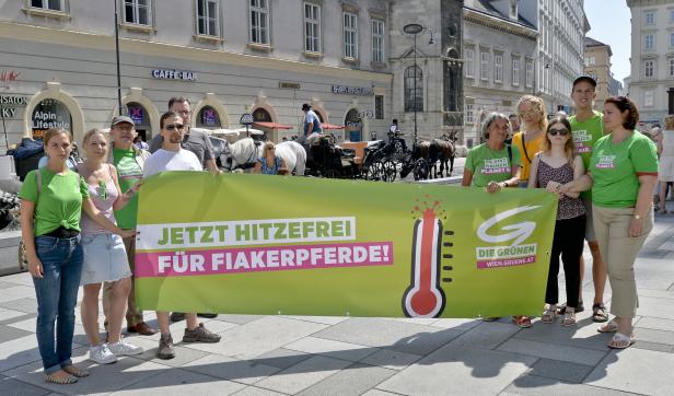 Wiens Grüne wollen hitzefrei für Fiakerpferde schon ab 30 Grad