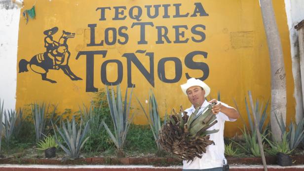 Gratis-Tequila & Baden beim Maya-Tempel