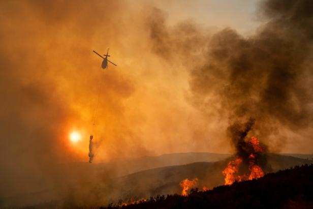 Inferno in Kalifornien: Größter Waldbrand in Geschichte des US-Staates