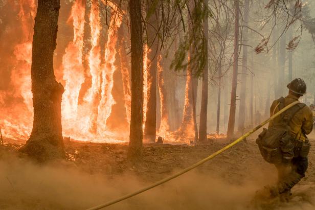 Waldbrände in Kalifornien: Mutmaßlicher Brandstifter angeklagt