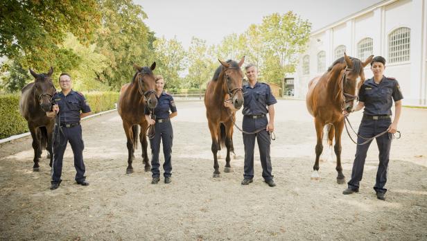 Reiterstaffel: SPÖ entdeckt Pferdefuß bei den Personalkosten