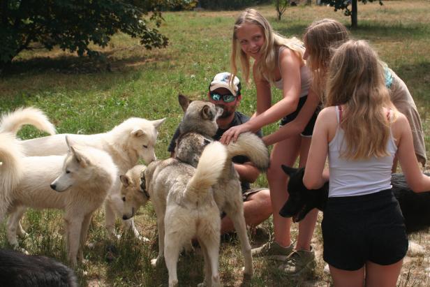 Feriencamp für Kinder: Ein Husky für eine Woche
