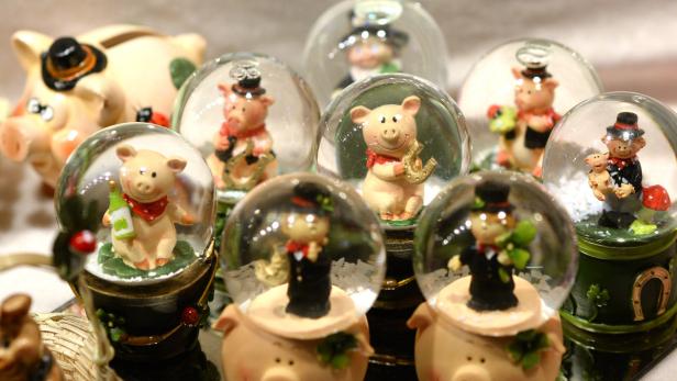 Mehrere Schneekugeln mit Schweinchenfiguren in verschiedenen Kostümen stehen auf einem Tisch.