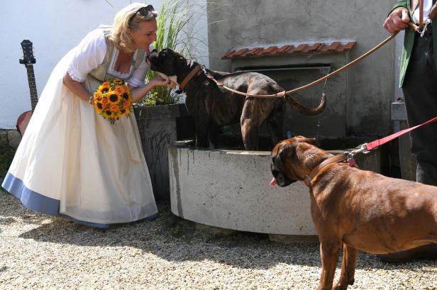 Wie die Kneissl-Hochzeit zum "Riesen-Coup" für einen Hundefutter-Produzenten wurde
