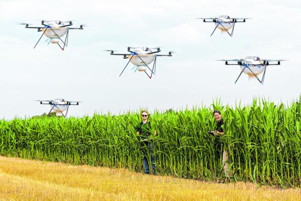 Drohnen Lagerhaus Maisfelder Bauern Landwirtschaft