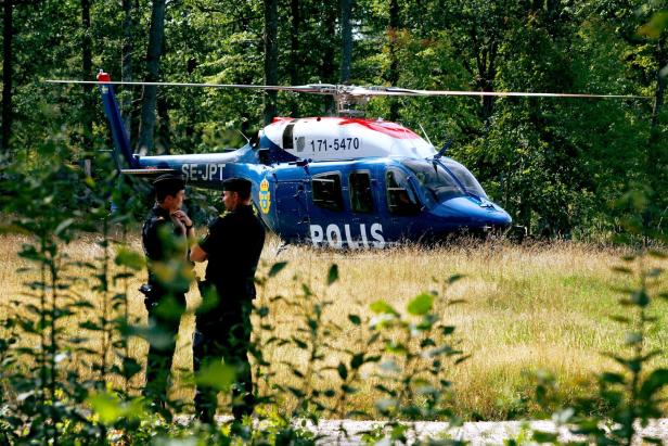 Schweden: Kampfjet geriet in Vogelschwarm und stürzte ab