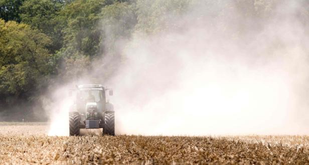 Dürre: Deutschland greift Bauern unter die Arme