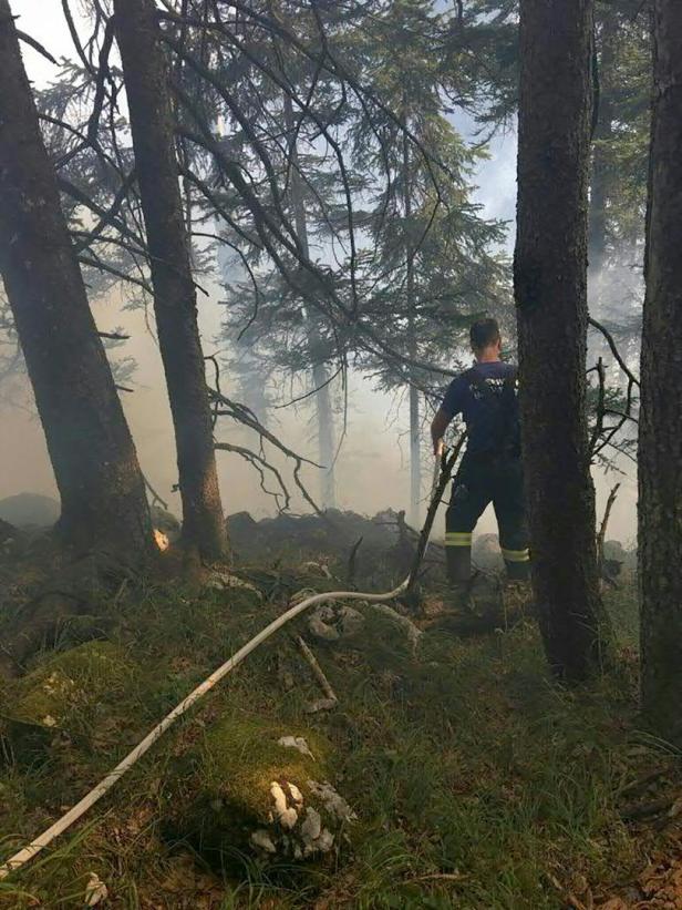 Waldbrand in Hallstatt vermutlich durch weggeworfene Zigarette ausgelöst