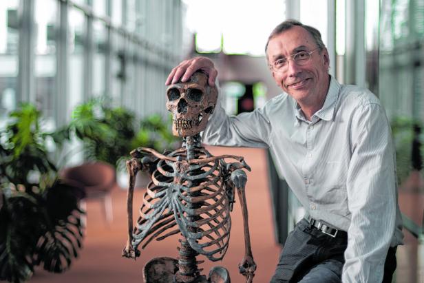 Knochenfund beweist: Multikulti gab es schon in der Steinzeit