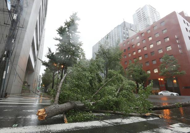Stärkster Taifun seit 25 Jahren in Japan auf Land getroffen