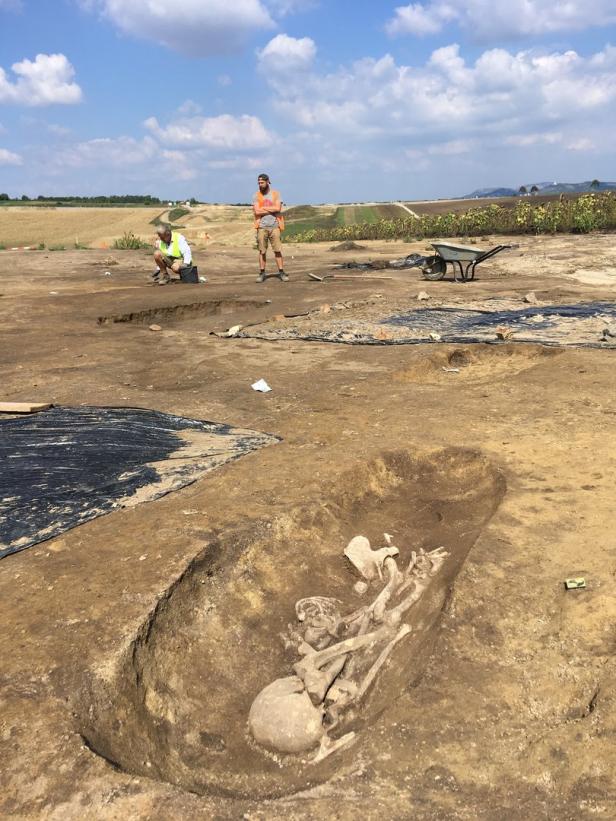 Mammutknochen auf A5-Baustelle gefunden