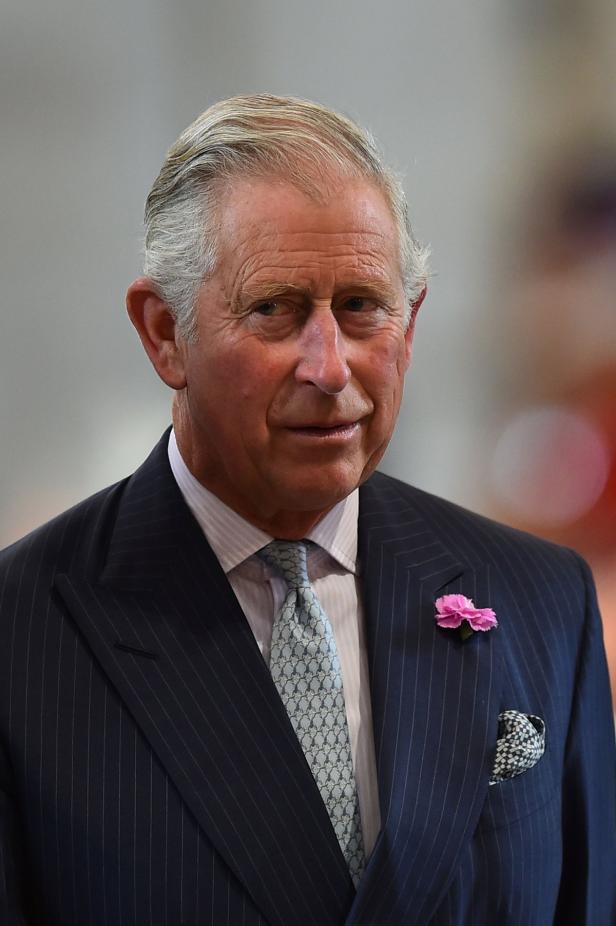 Prinz Charles regt mit Spendenaufruf auf
