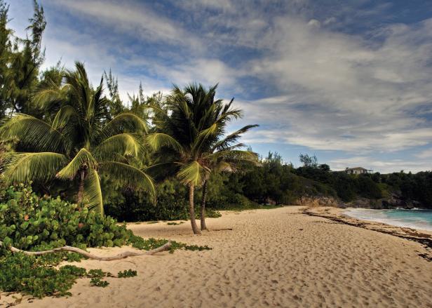 Cookinseln bis Panama: Steueroasen als Traumziele