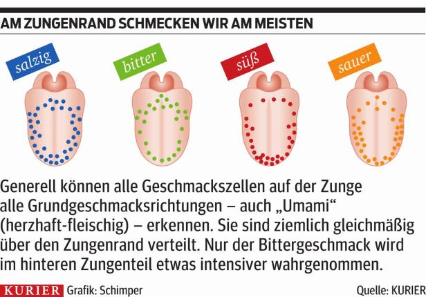 Forscher finden sechsten Geschmack