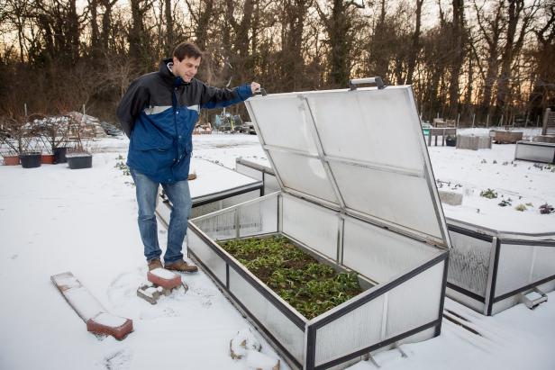 Interview mit Wolfgang Palme: Gemüse im Winter anbauen