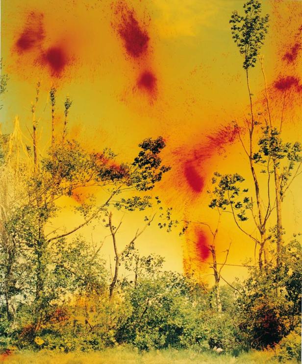 Eine Landschaft mit Bäumen unter einem gelb-orangefarbenen Himmel mit roten Flecken.