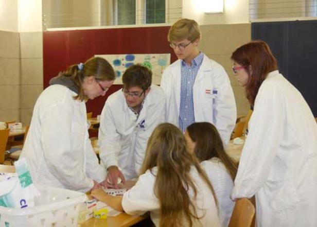 Biotechnologie Comenius-Projekt, Kollegium Klaksburg