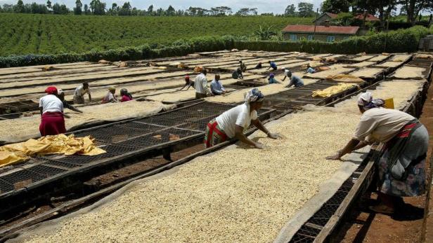 Lavazza unterstützt Slow Food