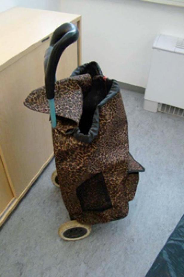 Der Einkaufstrolley der Kupferdiebe Ein Einkaufstrolley mit Leopardenmuster steht in einem Raum.