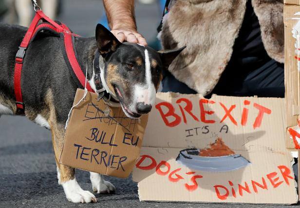 Wooferendum: Hundehalter demonstrierten in London gegen den Brexit
