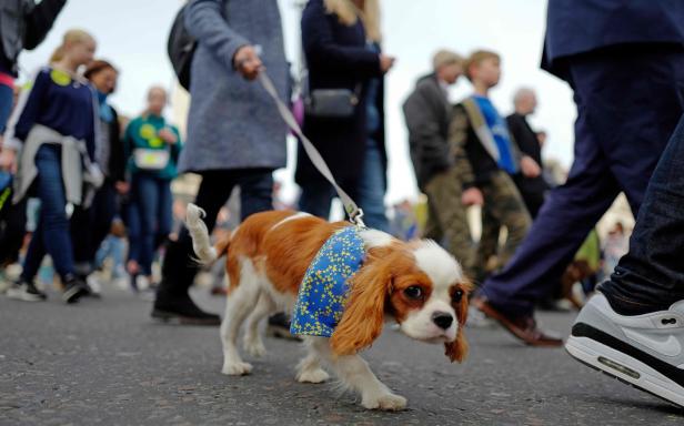 Wooferendum: Hundehalter demonstrierten in London gegen den Brexit