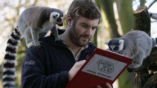 Volkszählung im Londoner Zoo